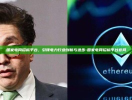 国家电网招标平台，引领电力行业创新与进步-国家电网招标平台官网