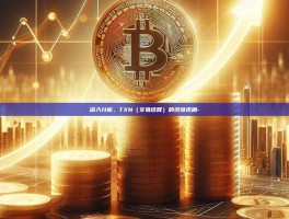 深入分析，TXN（交易结算）的多维视角-