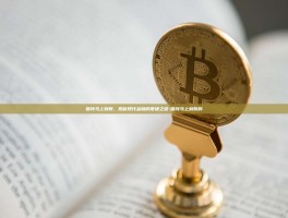 借钱马上到账，揭秘现代金融的便捷之道-借钱马上到账的