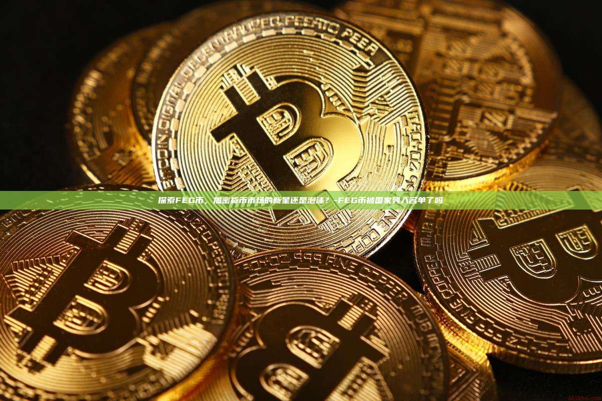 探索FEG币,加密货币市场的新星还是泡沫?-FEG币被国家列入名单了吗