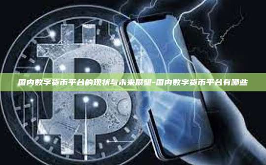 国内数字货币平台的现状与未来展望-国内数字货币平台有哪些
