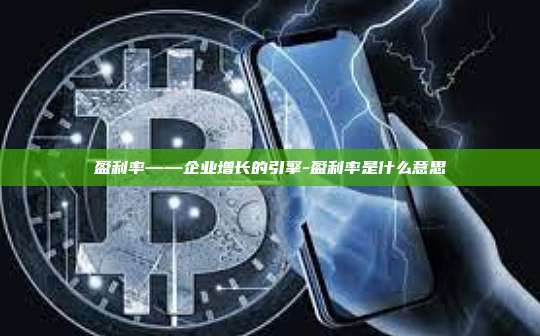 盈利率——企业增长的引擎-盈利率是什么意思