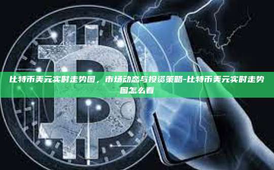 比特币美元实时走势图,市场动态与投资策略-比特币美元实时走势图怎么看
