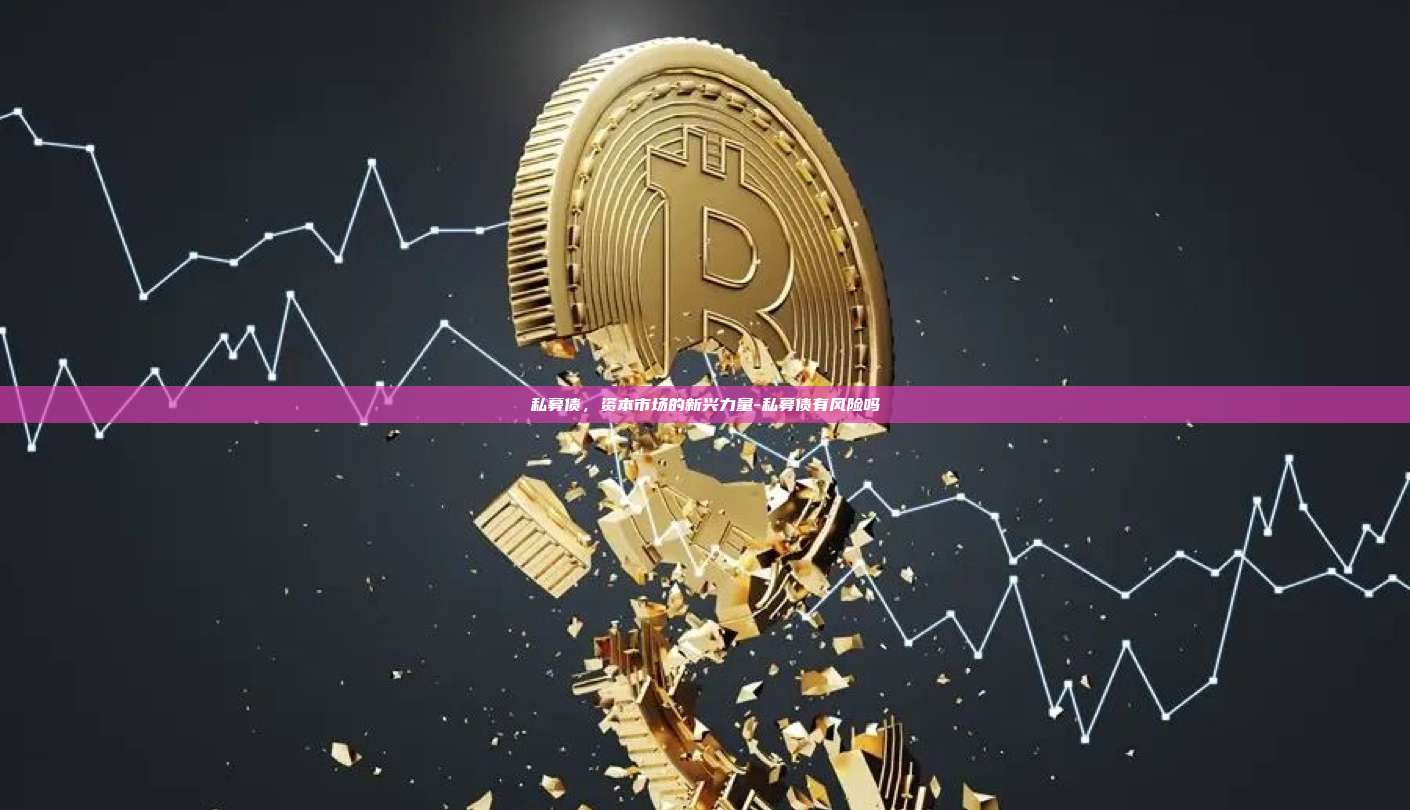 私募债,资本市场的新兴力量-私募债有风险吗